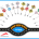 The Evolution of Traffic Signs in Dubai